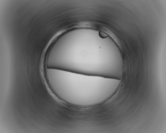X0000115511139200911060957