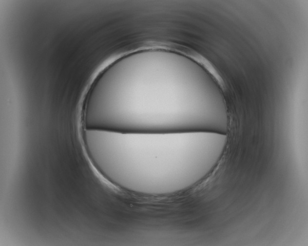 X0000115511143200911060957