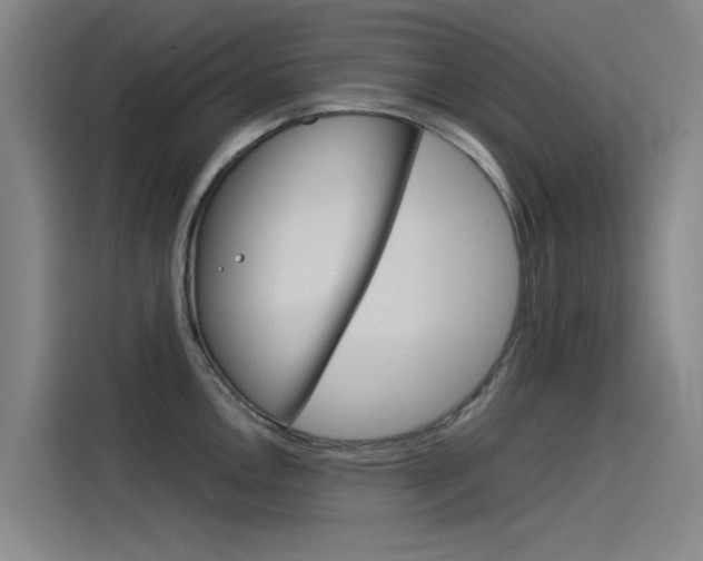 X0000115511146200911060957