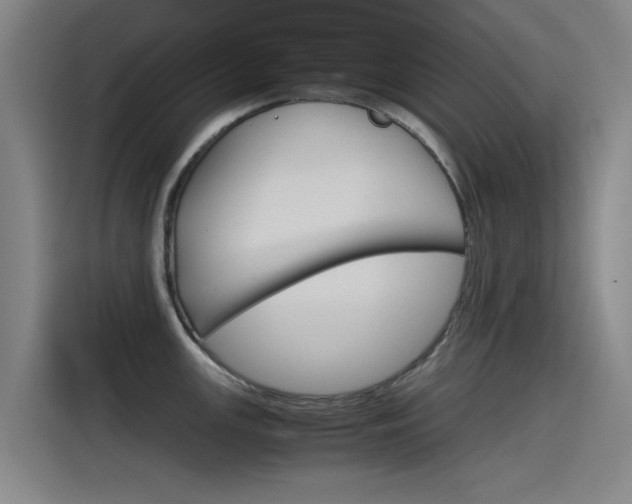 X0000115511147200911060957