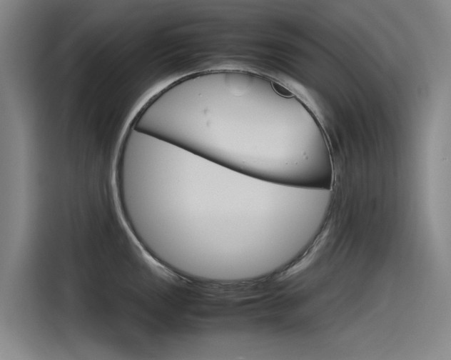 X0000115511149200911060957