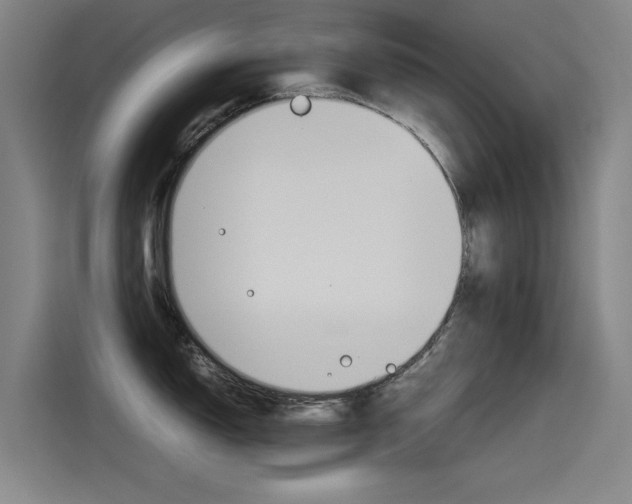 X0000115511150200911060957