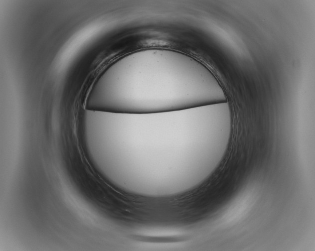 X0000115511151200911060957