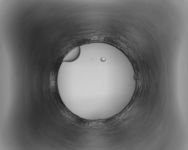 X0000115511154200911060957