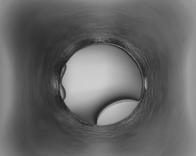 X0000115511155200911060957