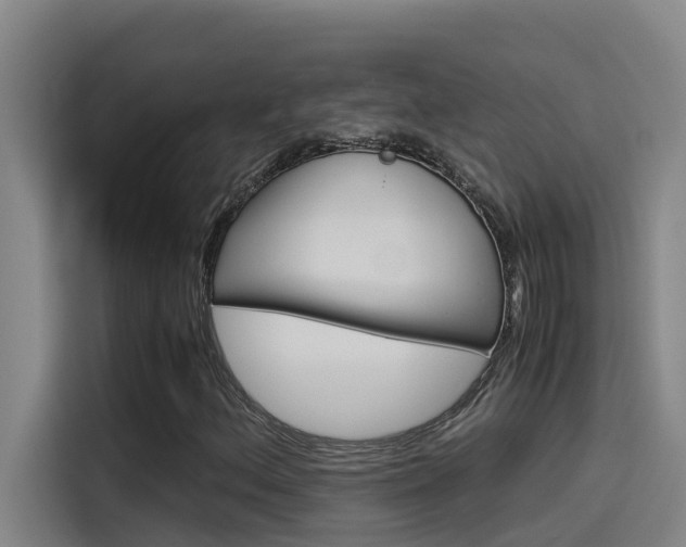 X0000115511156200911060957