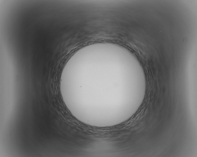 X0000115511157200911060957
