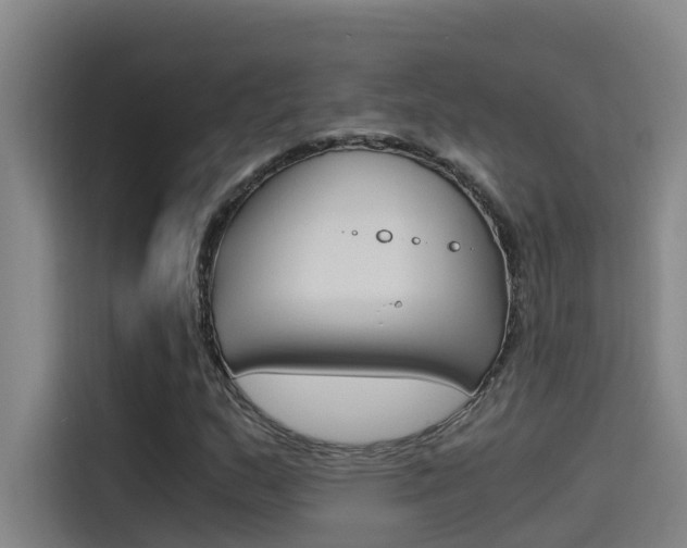 X0000115511159200911060957