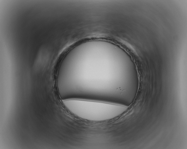 X0000115511160200911060957