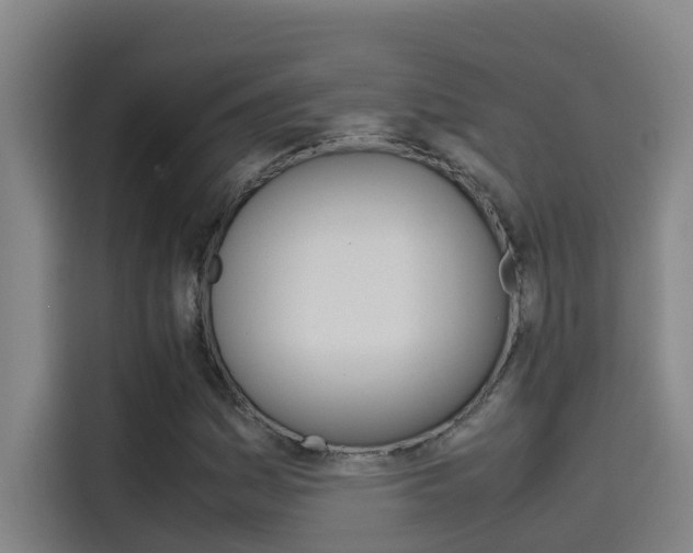 X0000115511161200911060957
