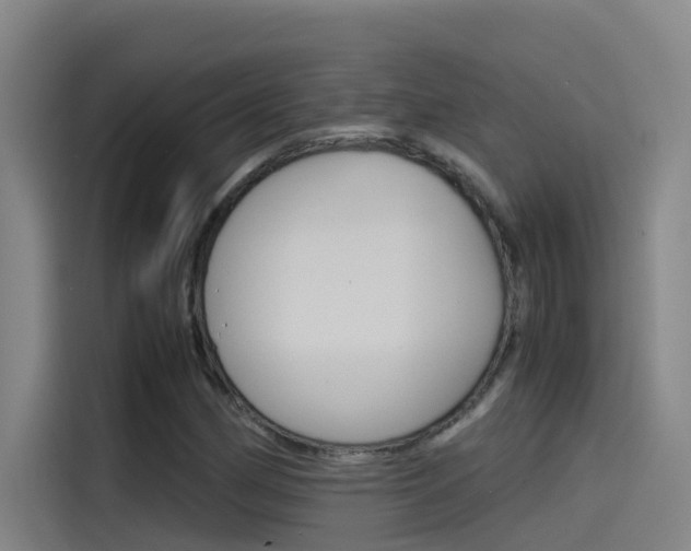 X0000115511162200911060957