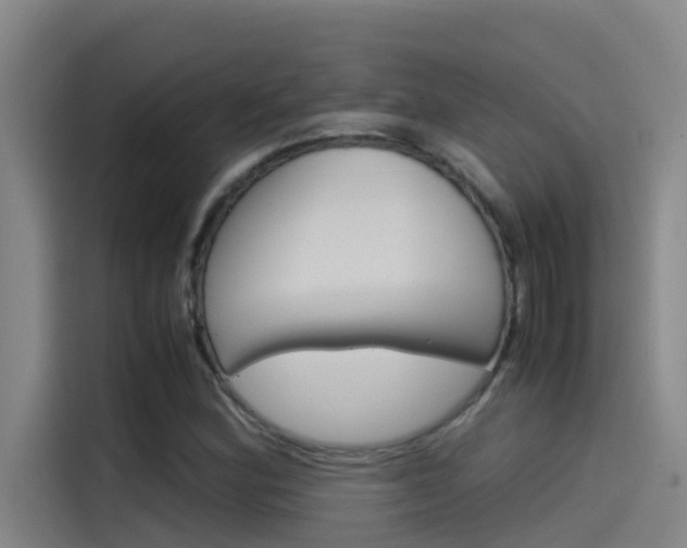 X0000115511164200911060957