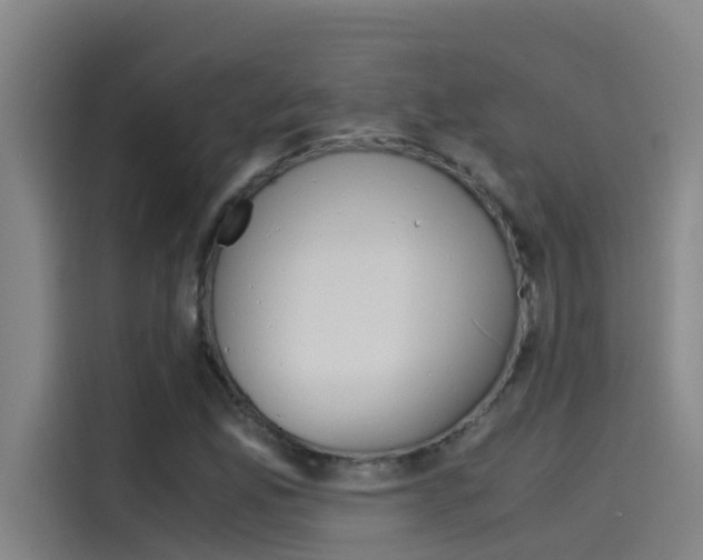 X0000115511165200911060957
