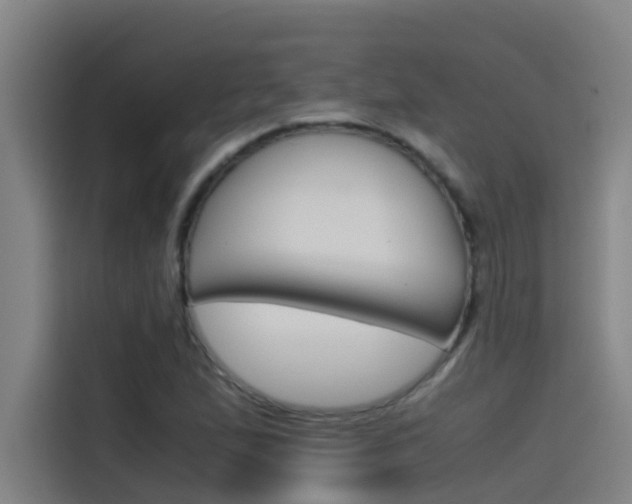 X0000115511167200911060957