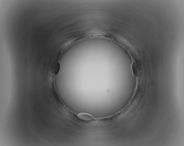 X0000115511169200911060956