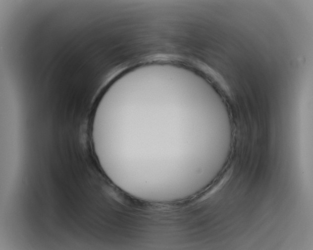 X0000115511170200911060956