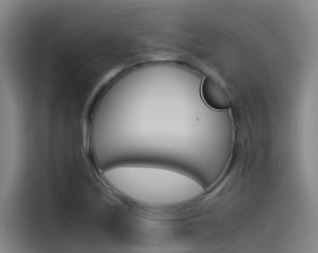 X0000115511171200911060956
