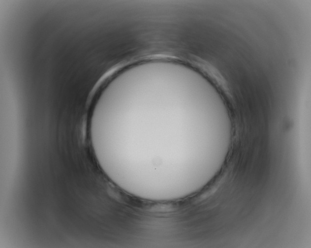 X0000115511174200911060956