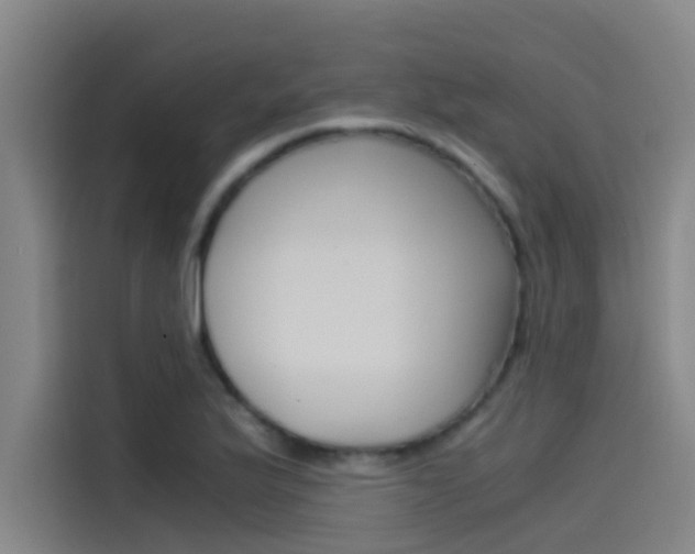 X0000115511175200911060956
