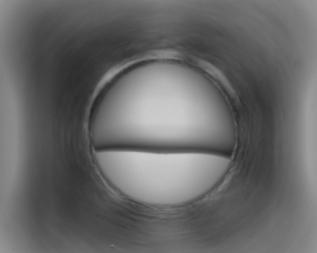 X0000115511176200911060956