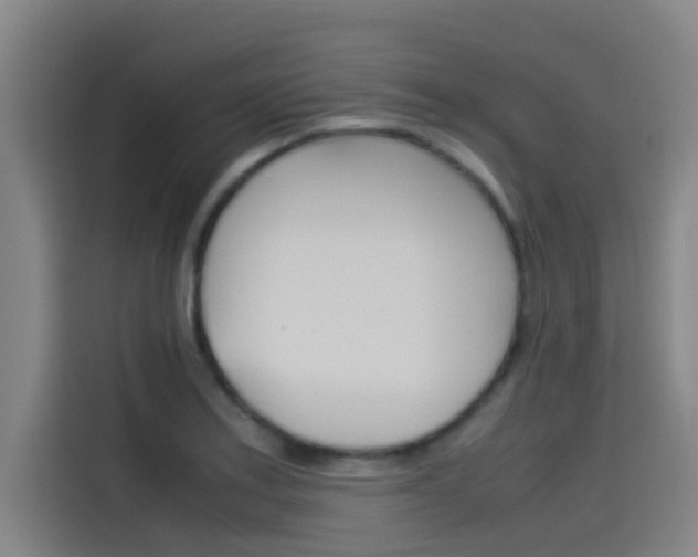 X0000115511179200911060956