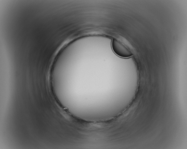 X0000115511181200911060956