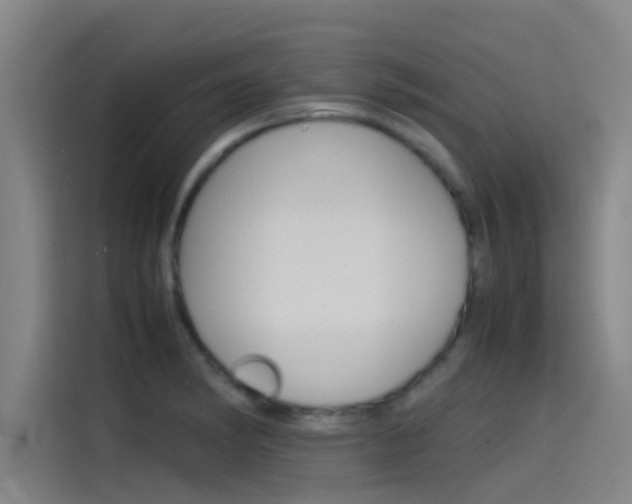 X0000115511182200911060956
