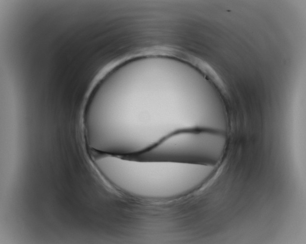 X0000115511184200911060956