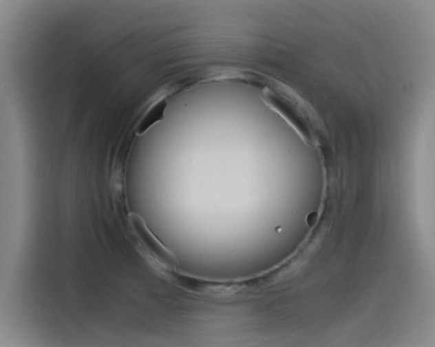X0000115511185200911060956