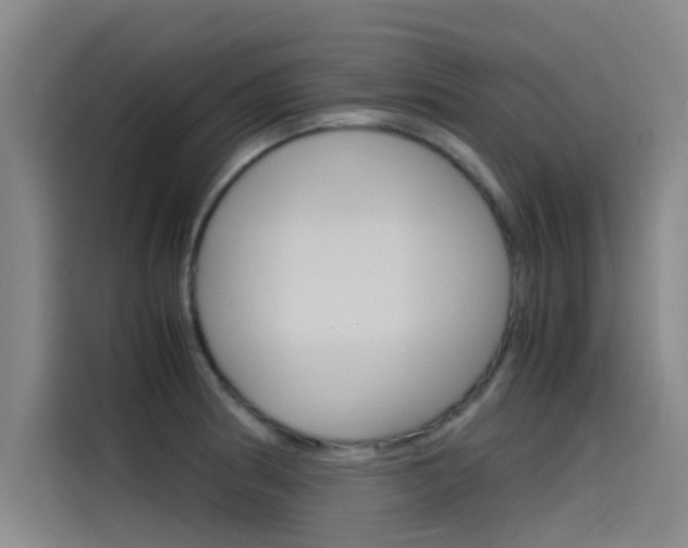 X0000115511186200911060956