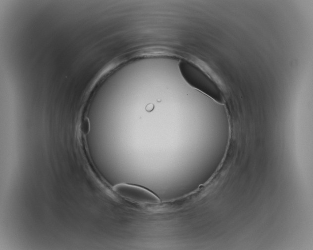X0000115511189200911060956