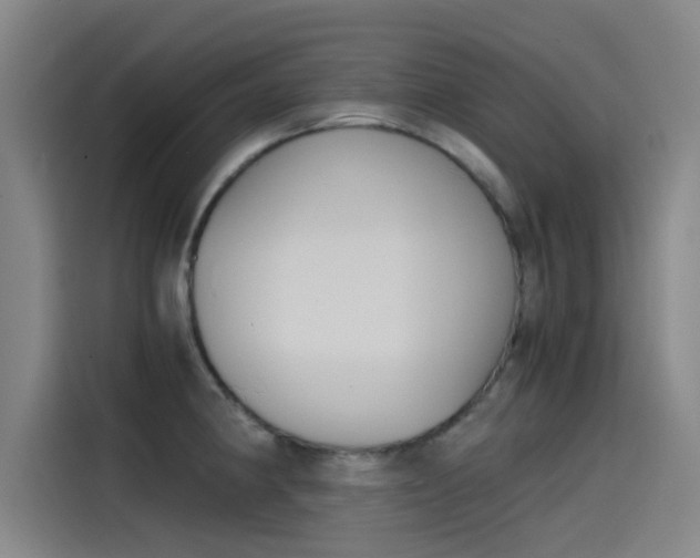 X0000115511190200911060956