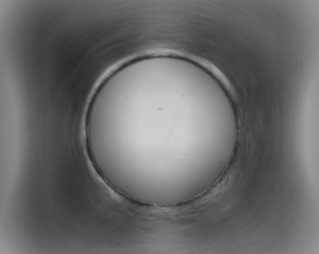 X0000115511191200911060956