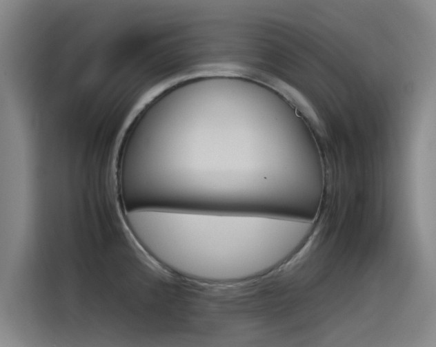 X0000115511192200911060956