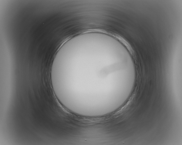 X0000115511193200911060956