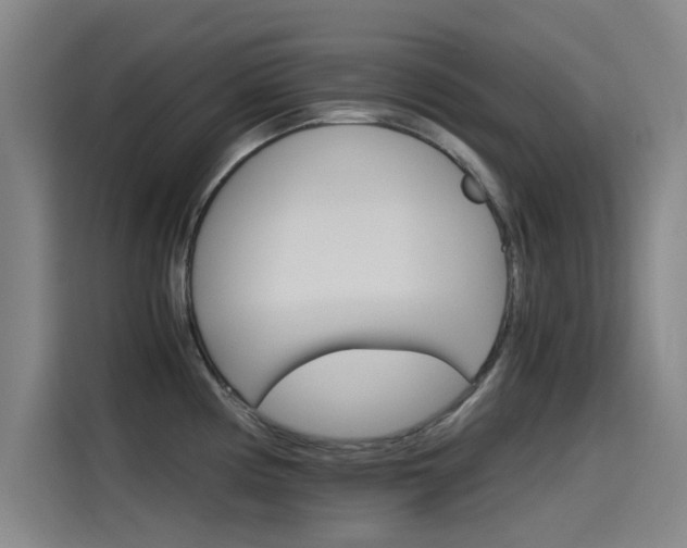 X0000115511194200911060956