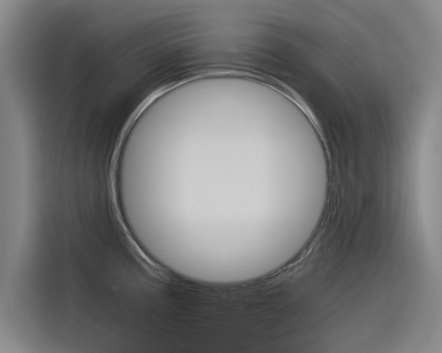 X0000115511195200911060956