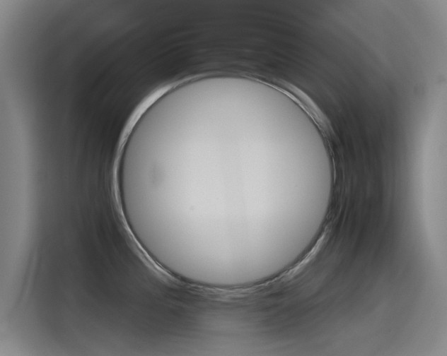 X0000115511196200911060956
