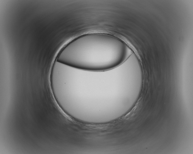 X0000115511197200911060956