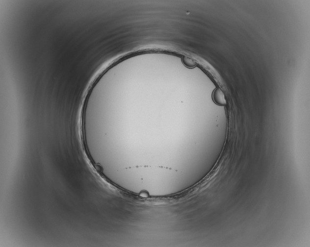 X0000115511199200911060956