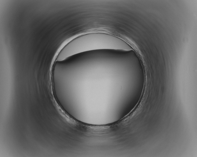 X0000115511200200911060956