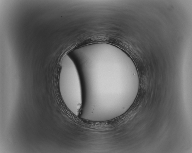 X0000115511201200911060955