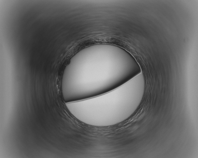 X0000115511202200911060955