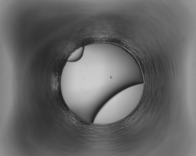 X0000115511204200911060955