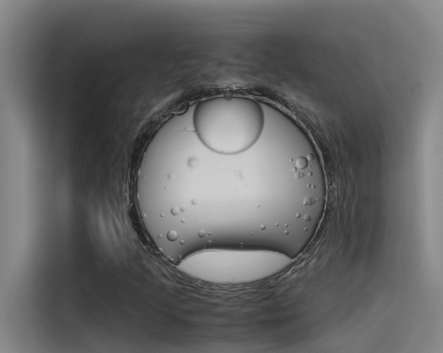 X0000115511205200911060956