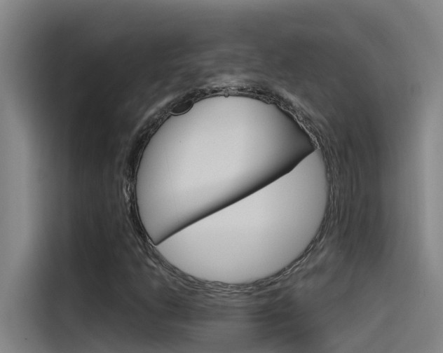 X0000115511206200911060956