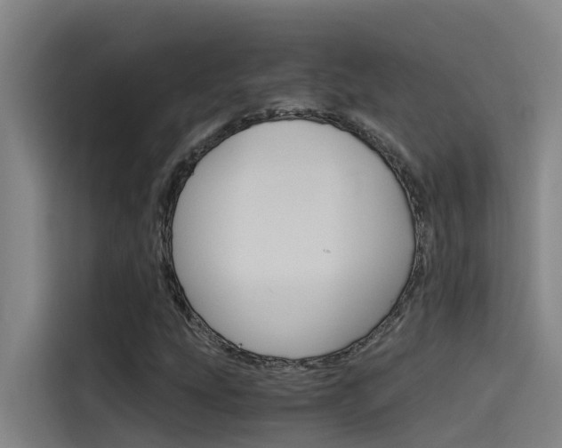 X0000115511207200911060956