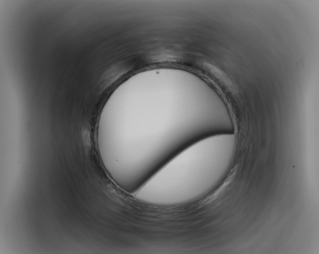 X0000115511209200911060956