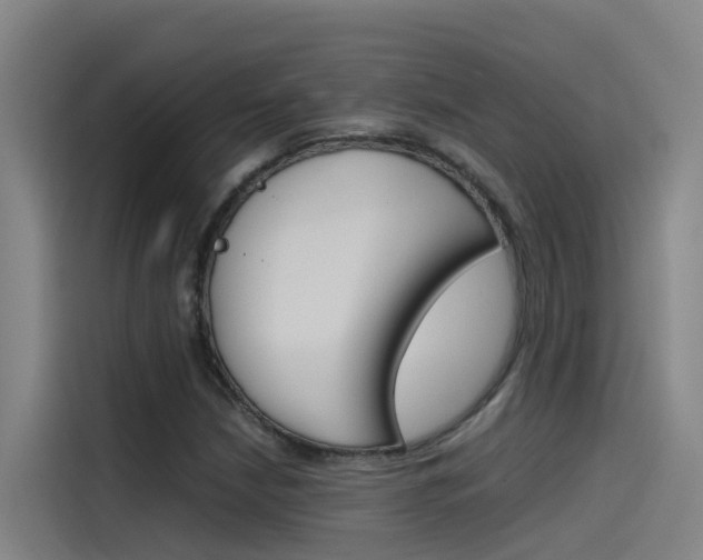 X0000115511210200911060956