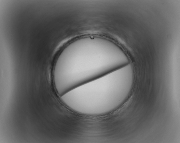 X0000115511214200911060956